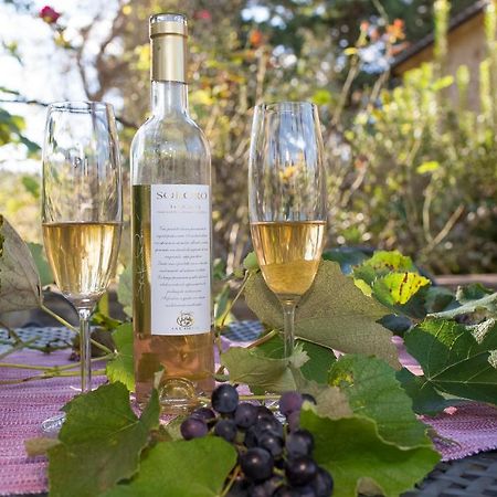 Podere La Casetta - Casa Di Campagna Монтайоне Екстериор снимка