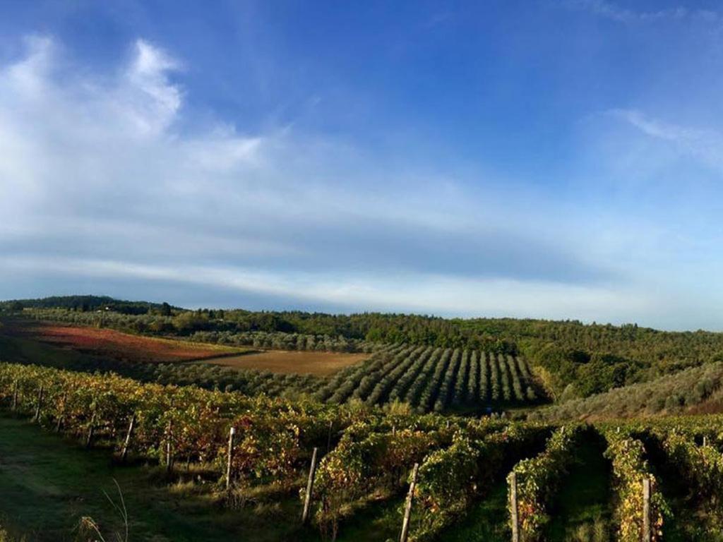 Podere La Casetta - Casa Di Campagna Монтайоне Екстериор снимка