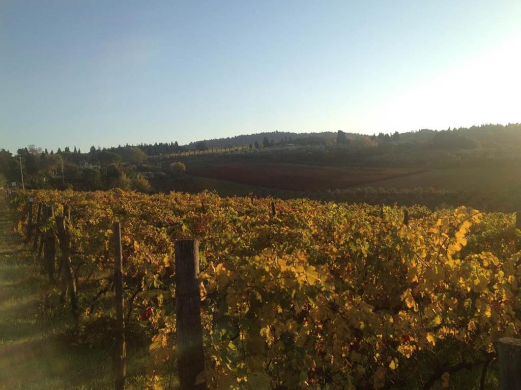 Podere La Casetta - Casa Di Campagna Монтайоне Екстериор снимка