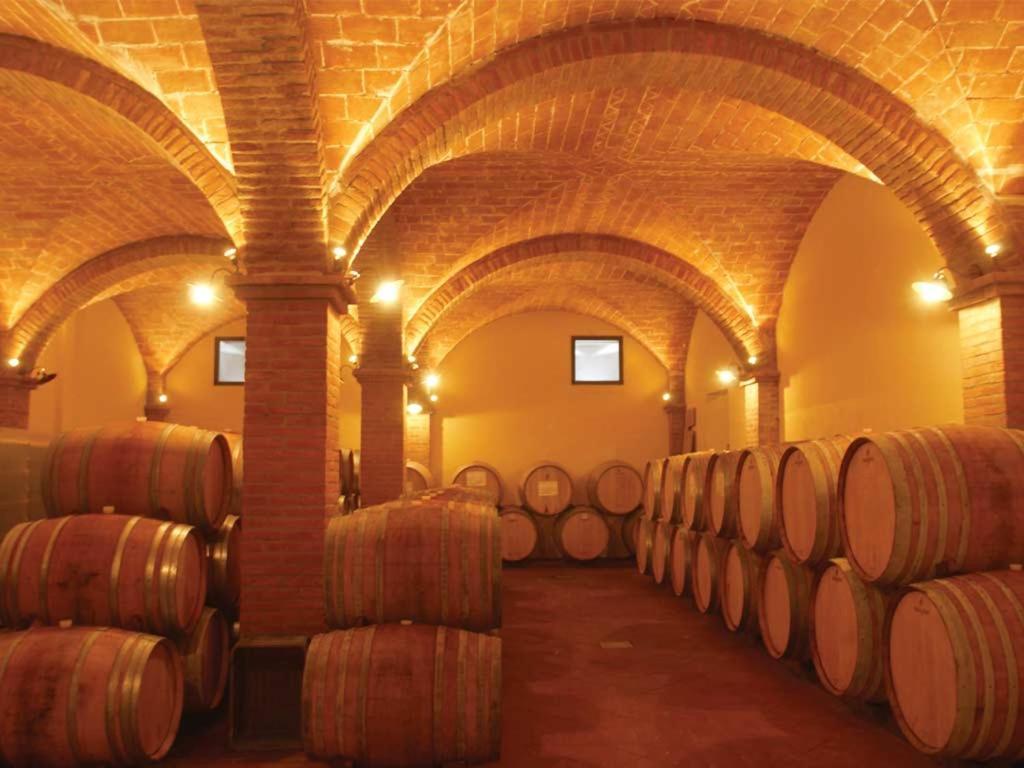 Podere La Casetta - Casa Di Campagna Монтайоне Екстериор снимка